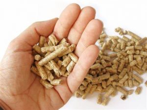 Biomass Pellet: Check Out Its Various Usage